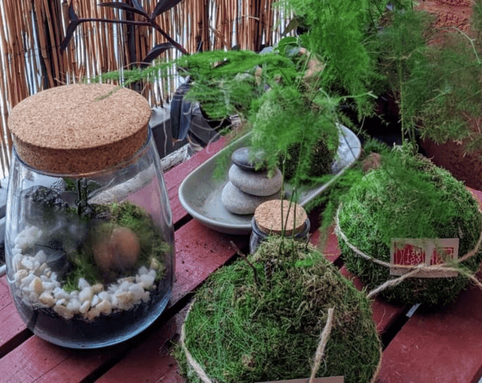 Image for: Conexión Verde-Taller de diseño botánico