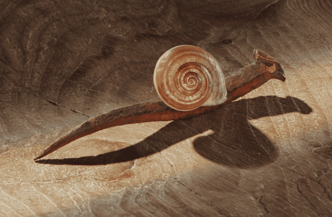 Image for: Caminos · Teatro familiar