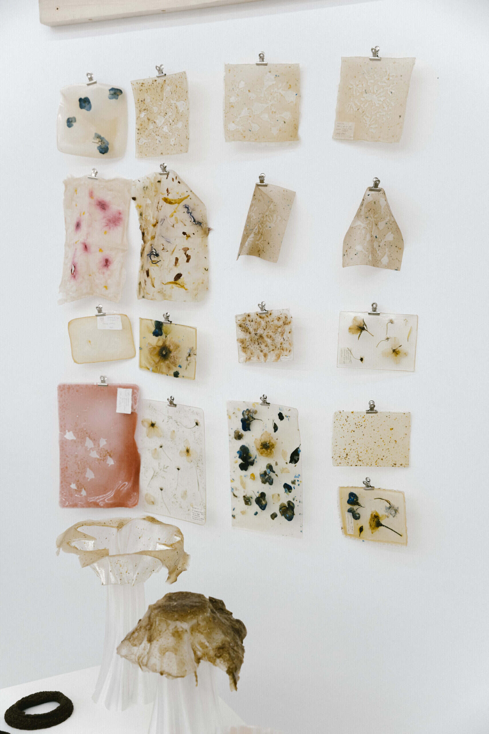 Image for: Luminarias Experimentales: Materia Viva y Luz