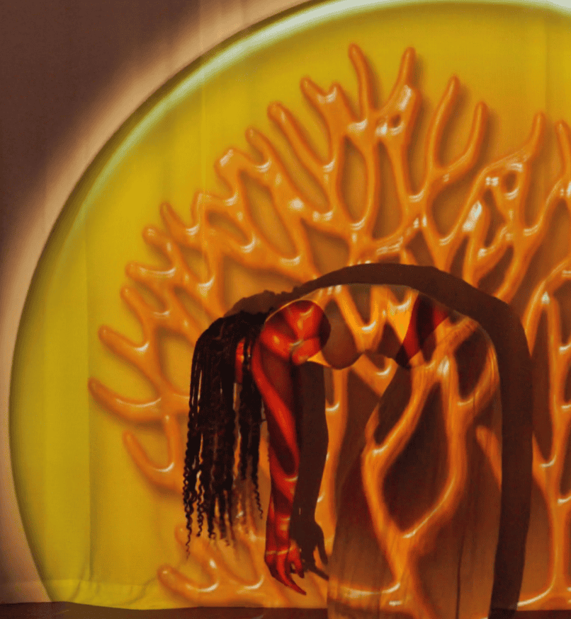 Image for: El color íntimo · Retratos cromáticos