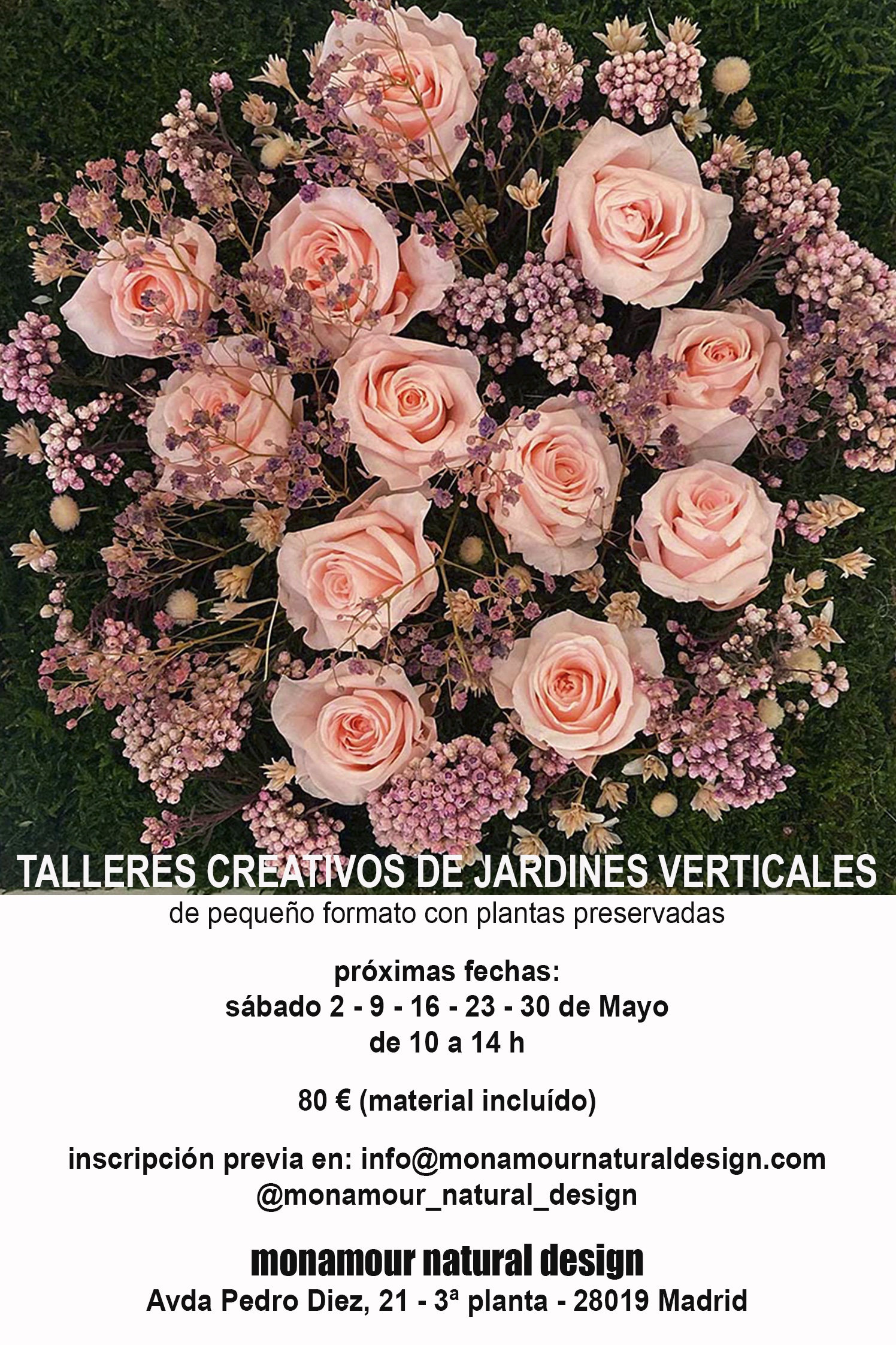 Image for: Taller de jardines verticales preservados – Monamour Natural Design