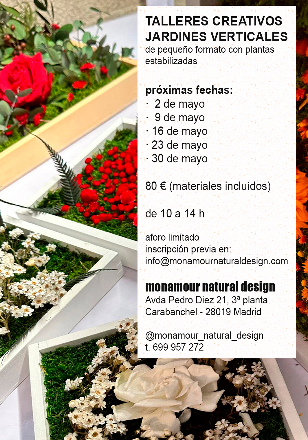 Image for: Taller de jardines verticales preservados – Monamour Natural Design