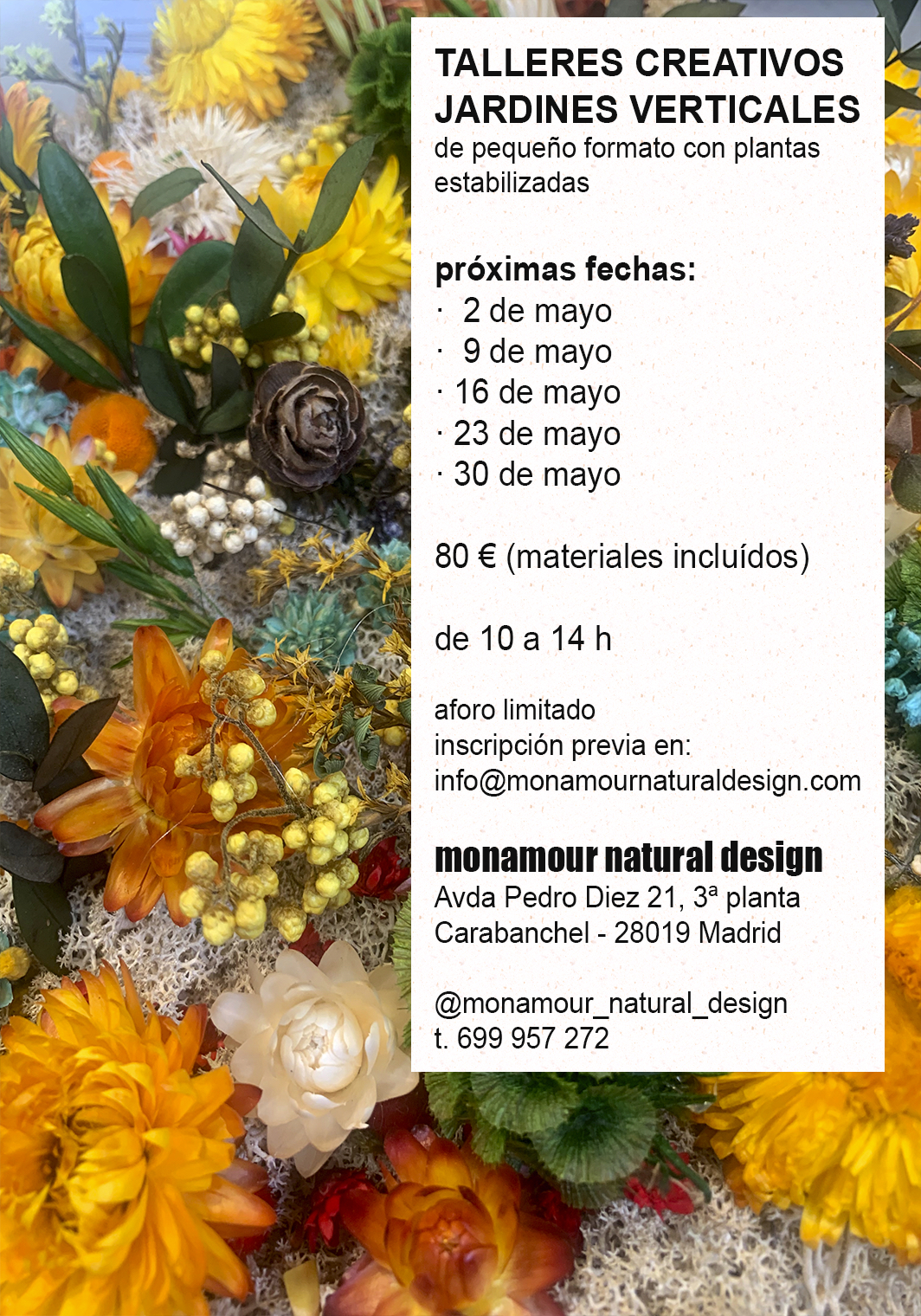 Image for: Taller de creación de jardines verticales con plantas estabilizadas en Carabanchel.