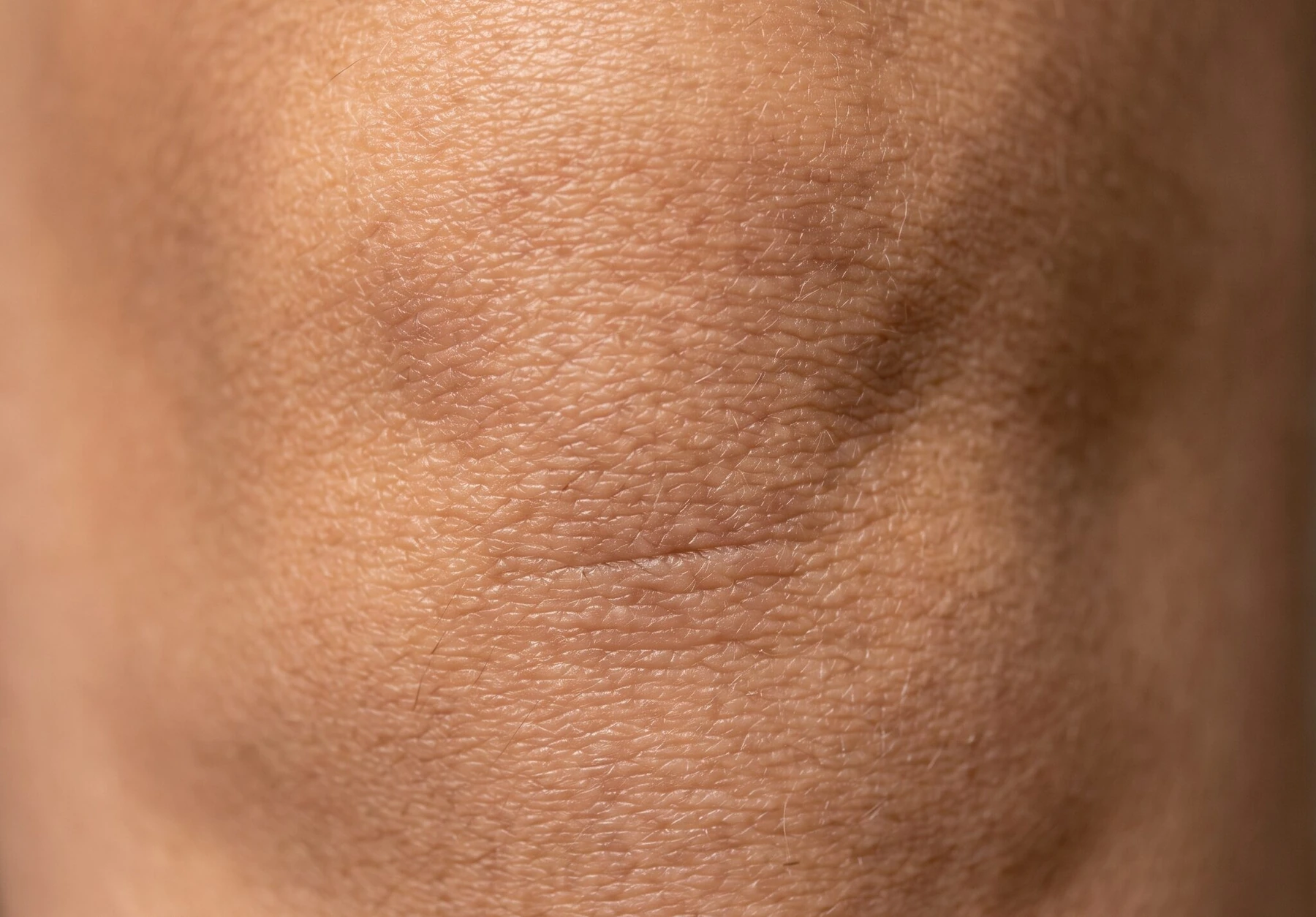 Image for: Tu rodilla es un poema. Convocatoria fotopoética